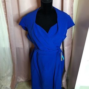 Brand new Nordstrom Dress